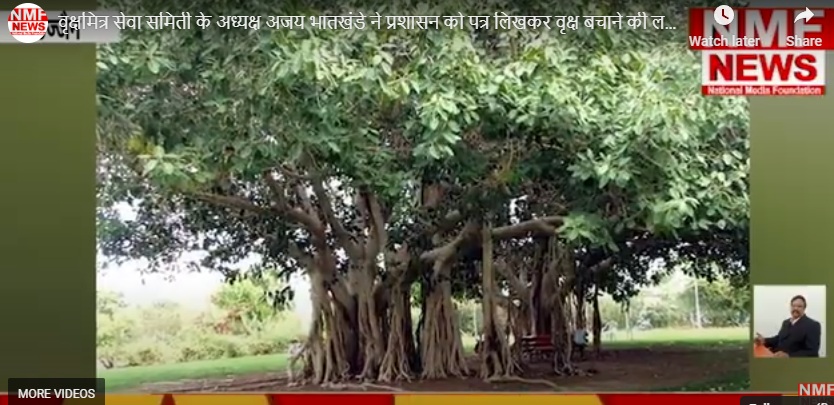 वृक्षमित्र सेवा समिती ने प्रशासन को पत्र लिखकर वृक्ष बचाने की लगाई गुहार वृक्षमित्र सेवा समिती ने प्रशासन को पत्र लिखकर वृक्ष बचाने की लगाई गुहार